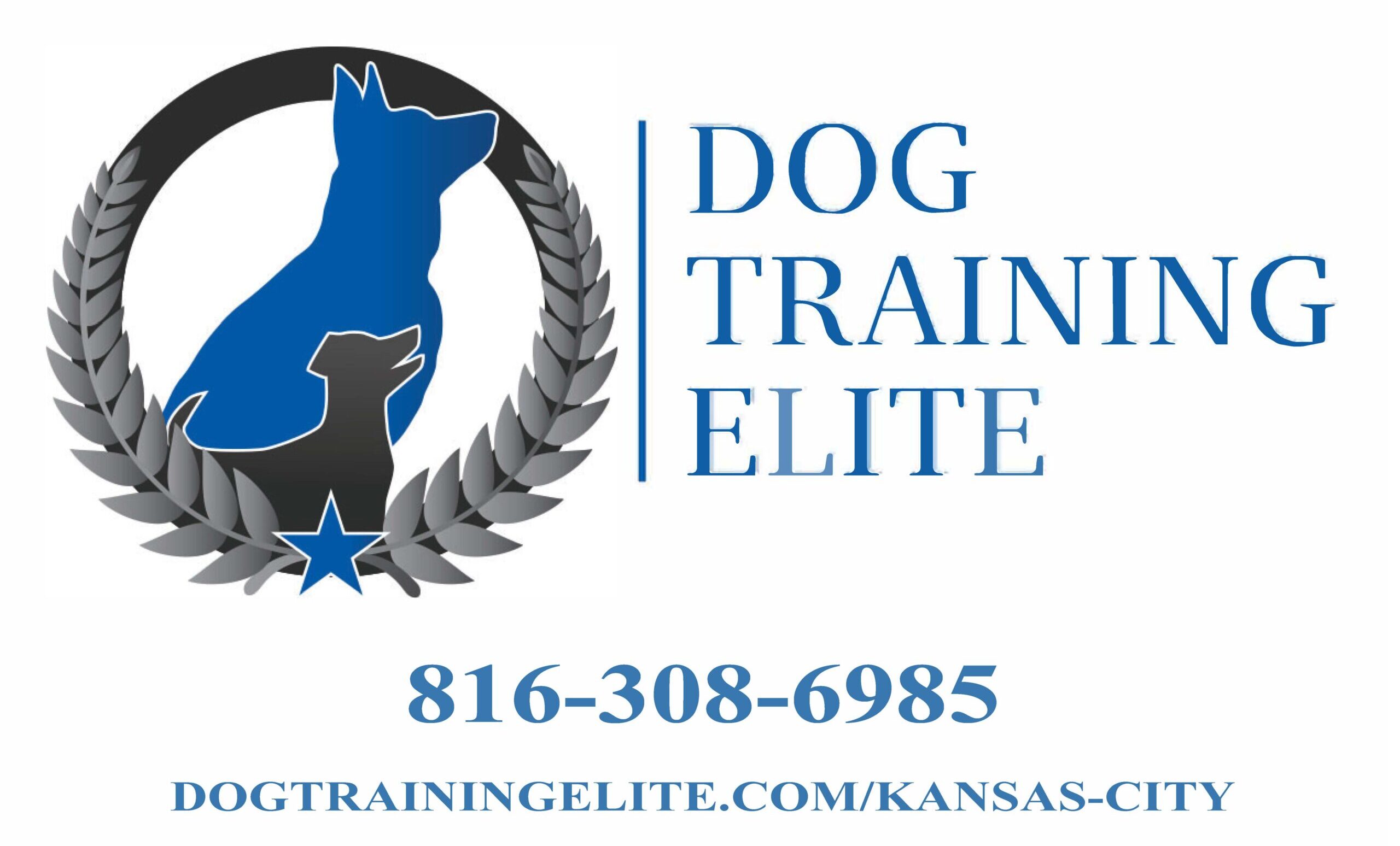 Dog Training Elite